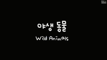 야생 동물 포스터