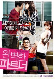 완벽한 파트너 포스터