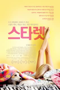 스타렛 포스터