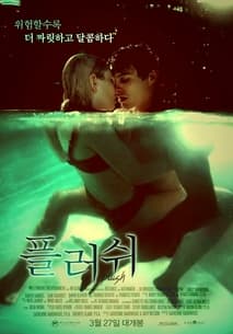 플러쉬 포스터