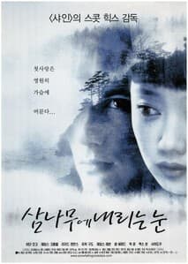 삼나무에 내리는 눈 포스터