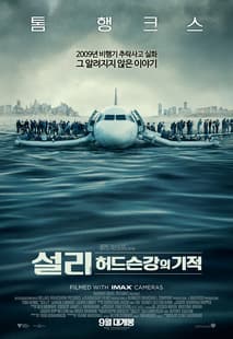 설리: 허드슨강의 기적 포스터