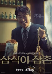 삼식이 삼촌 포스터