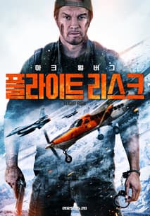 플라이트 리스크 포스터