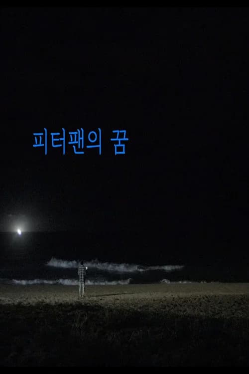 피터팬의 꿈 포스터