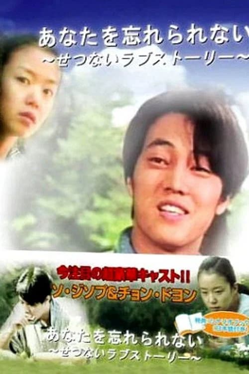 간직한 것은 잊혀지지 않는다 포스터