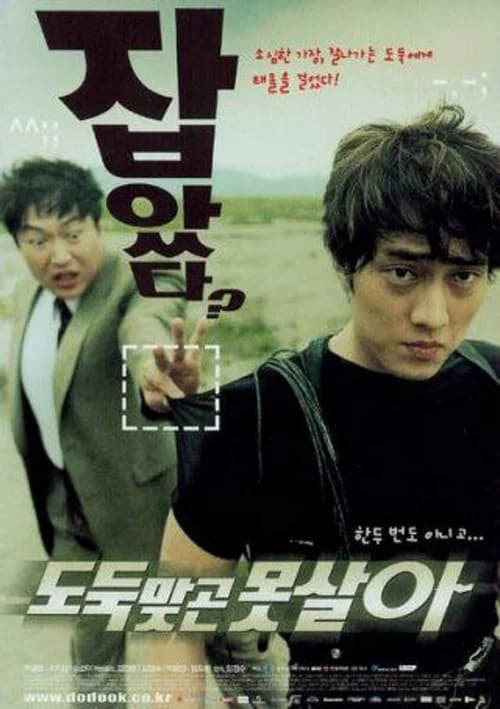 도둑맞곤 못살아 포스터