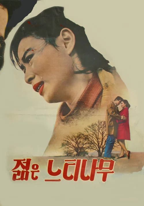 젊은 느티나무 포스터