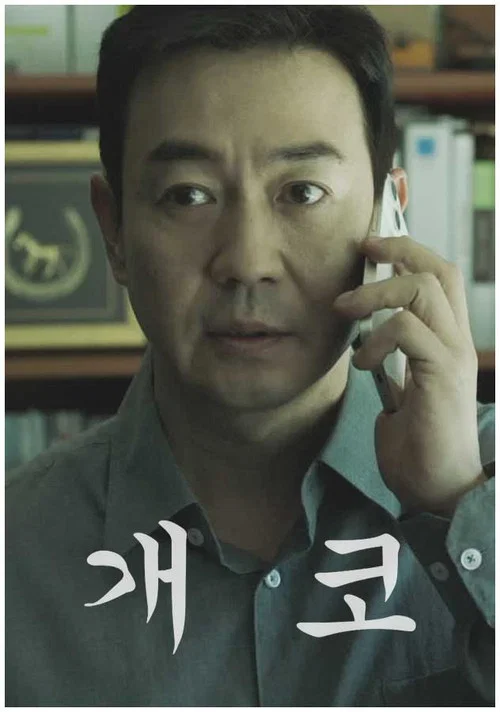 개코 포스터