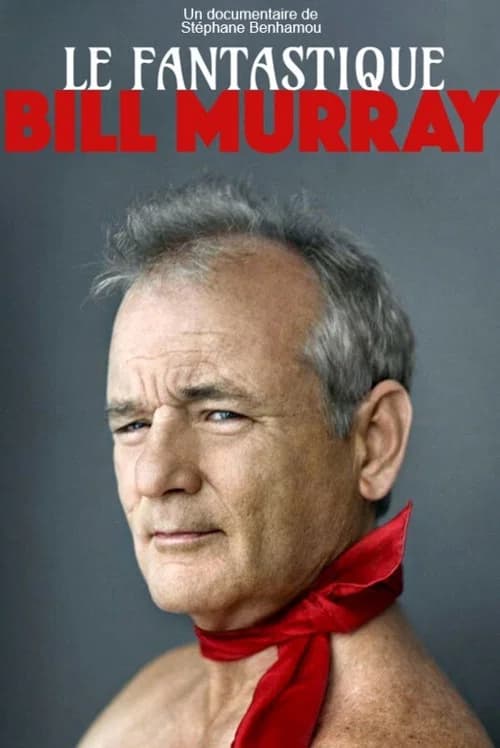 Le Fantastique Mr Murray 포스터