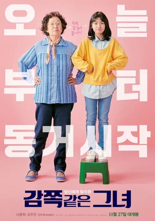감쪽같은 그녀 포스터