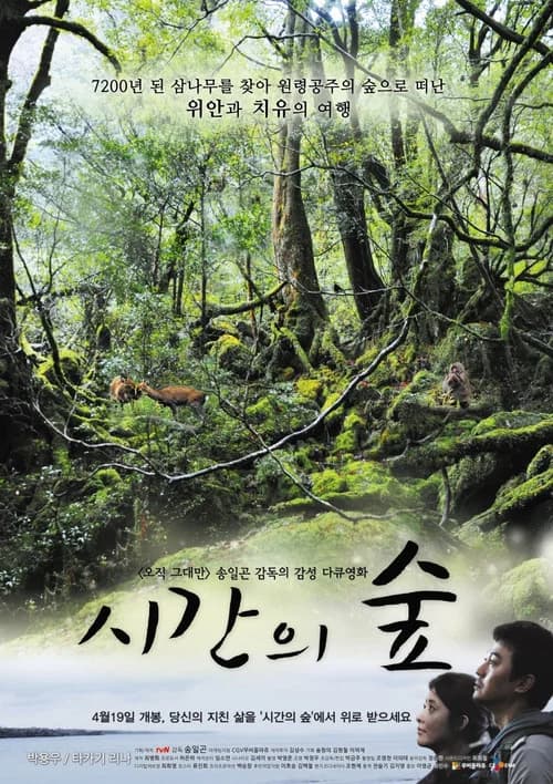 시간의 숲 포스터