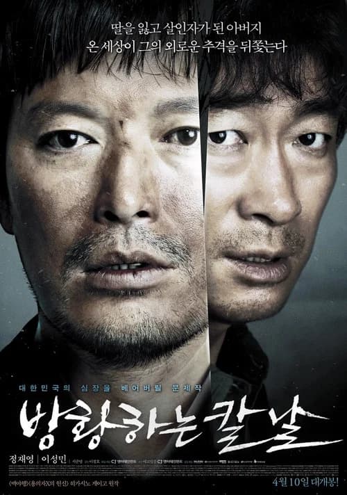 방황하는 칼날 포스터