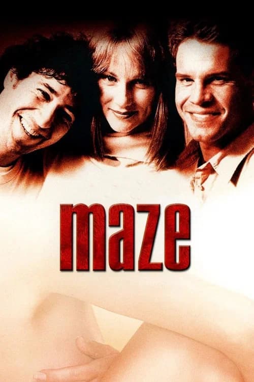 Maze 포스터