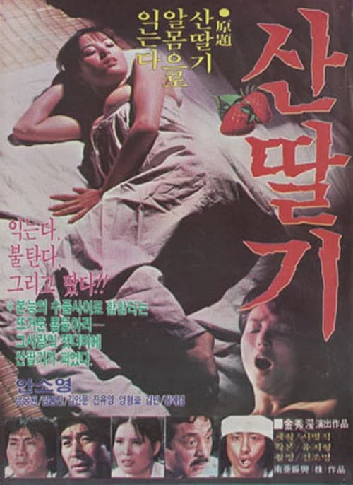 산딸기 포스터