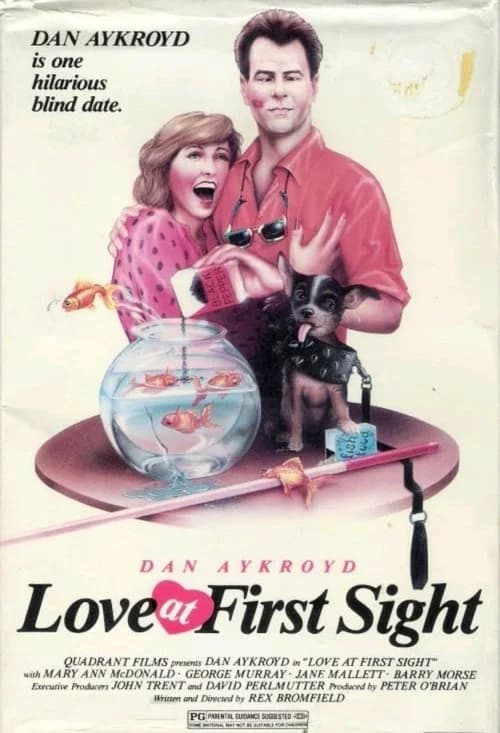 Love at First Sight 포스터