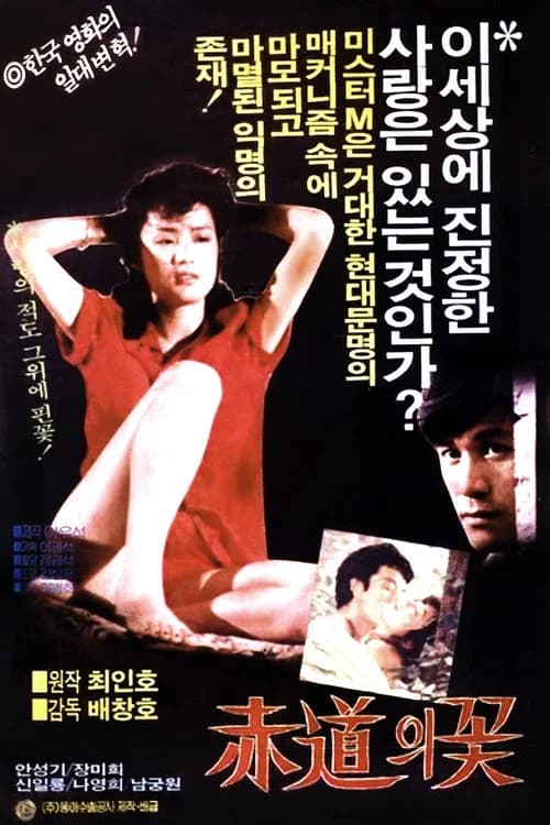 적도의 꽃 포스터
