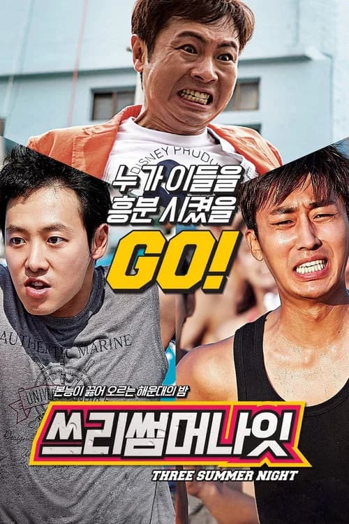 쓰리 썸머 나잇 포스터