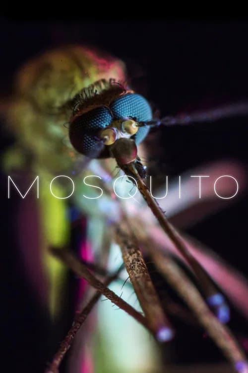 Mosquito 포스터