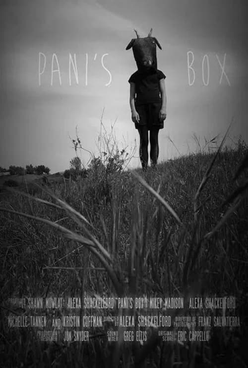 Pani's Box 포스터