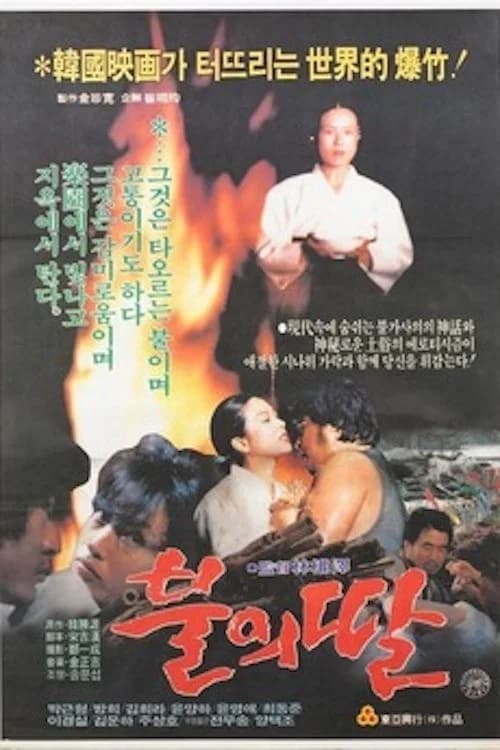 불의 딸 포스터