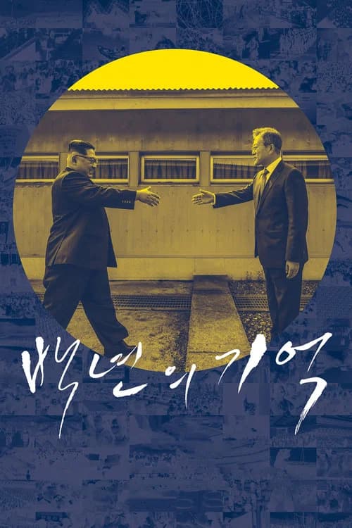 백년의 기억 포스터