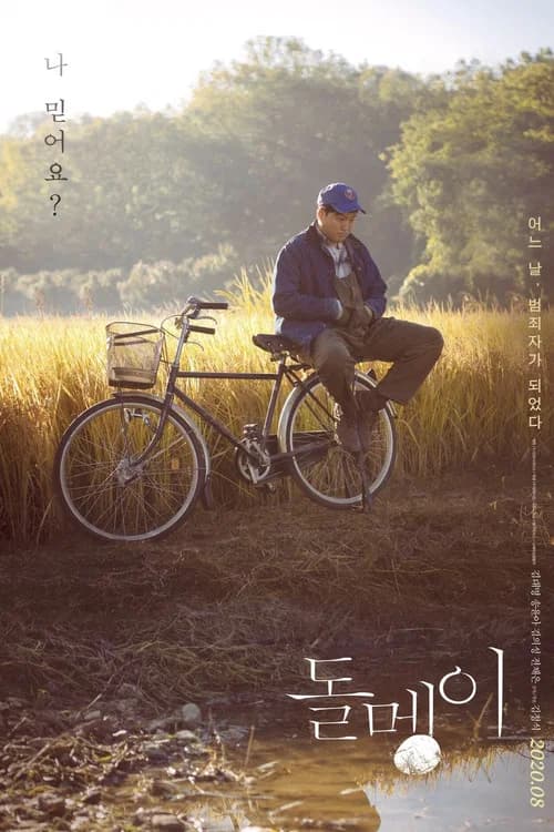 돌멩이 포스터