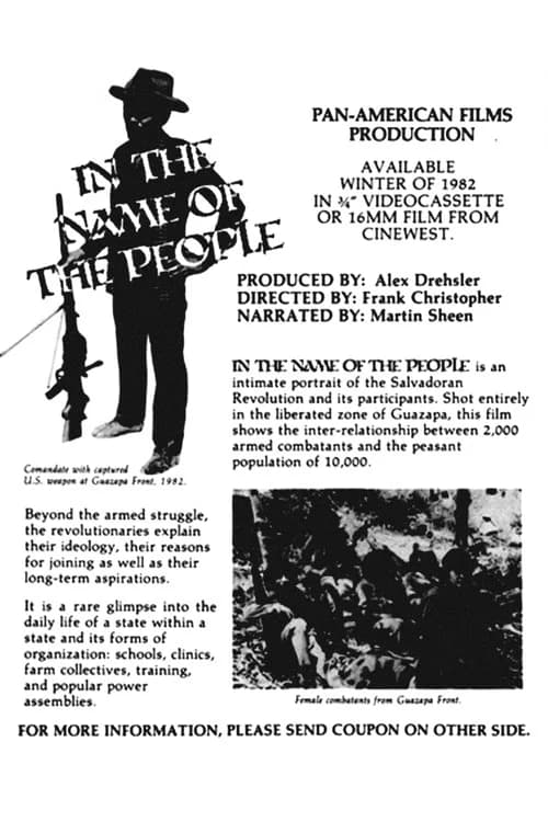 In the Name of the People 포스터