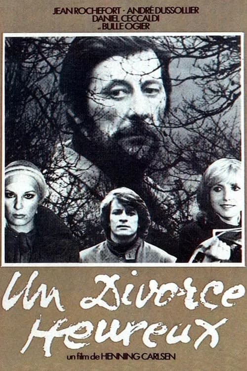 Un divorce heureux 포스터