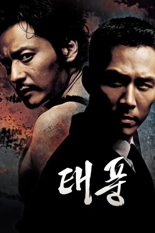 태풍 포스터