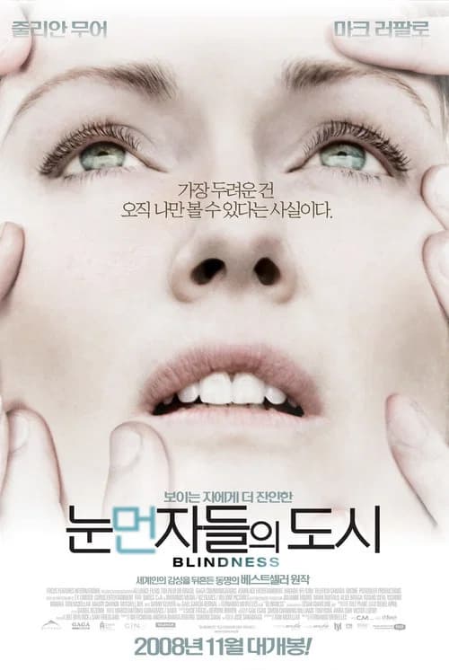 눈먼자들의 도시 포스터