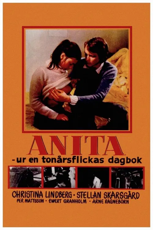 Anita 포스터