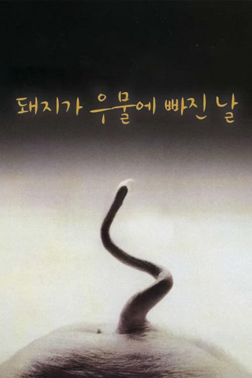 돼지가 우물에 빠진 날 포스터