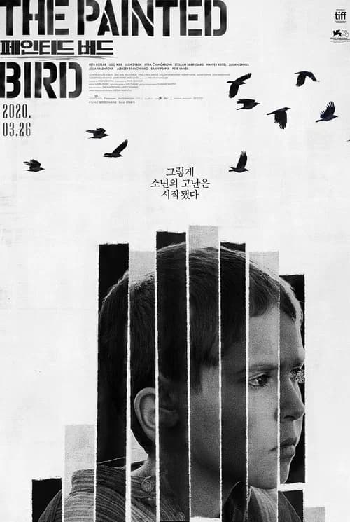 페인티드 버드 포스터