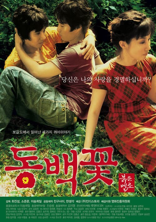 동백꽃 포스터