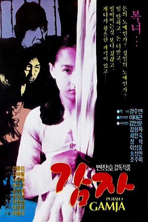 감자 포스터
