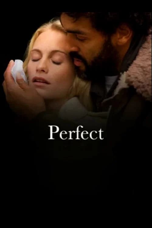 Perfect 포스터