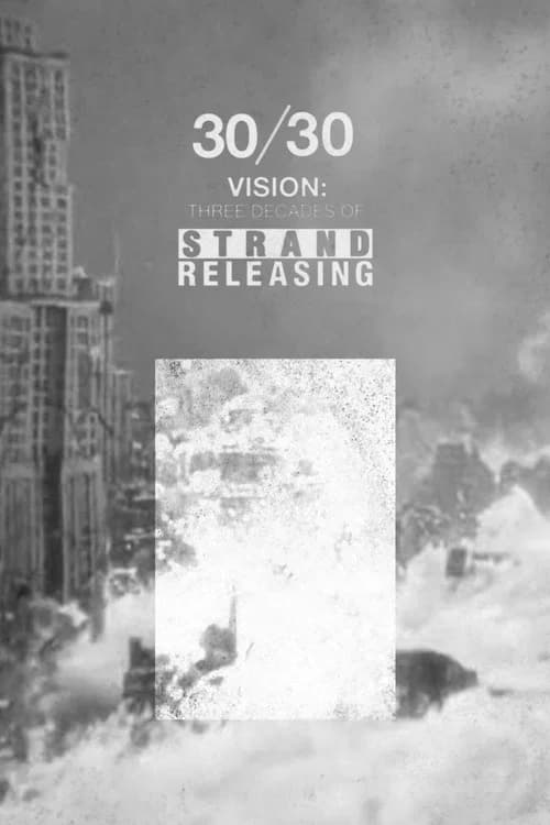 30/30 Vision: Three Decades of Strand Releasing 포스터