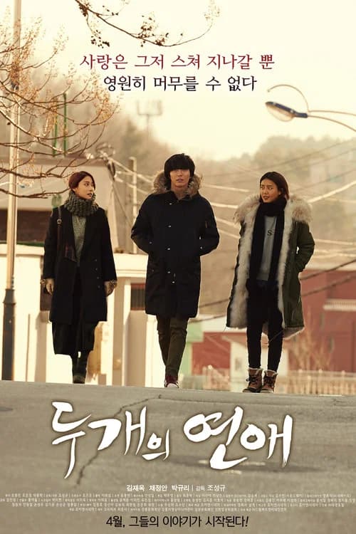 두 개의 연애 포스터
