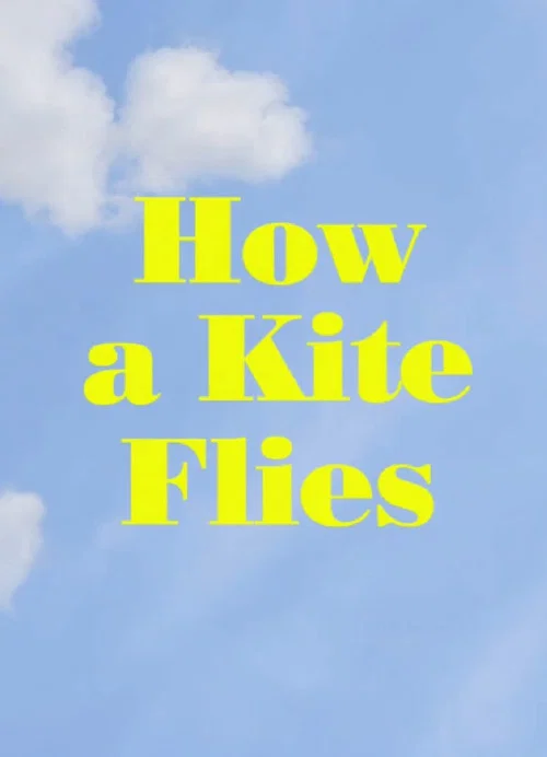 How a Kite Flies 포스터