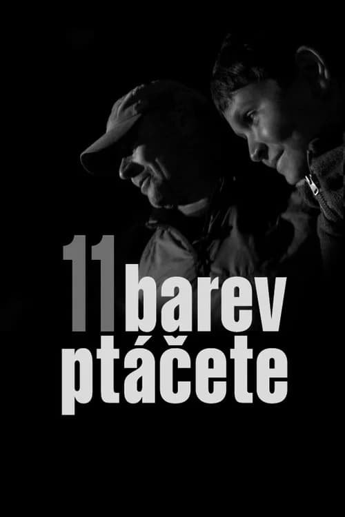 11 barev ptáčete 포스터