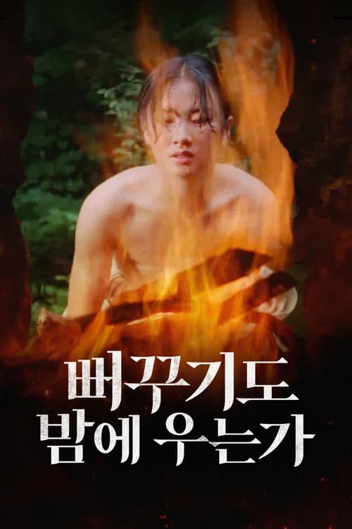 뻐꾸기도 밤에 우는가 포스터