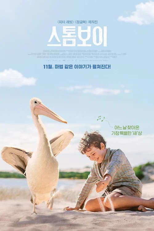 스톰보이 포스터