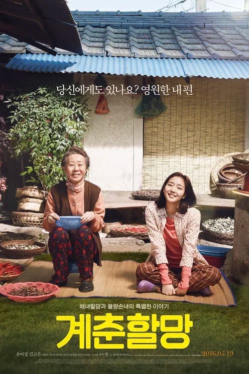 계춘할망 포스터