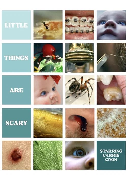 Little Things Are Scary 포스터